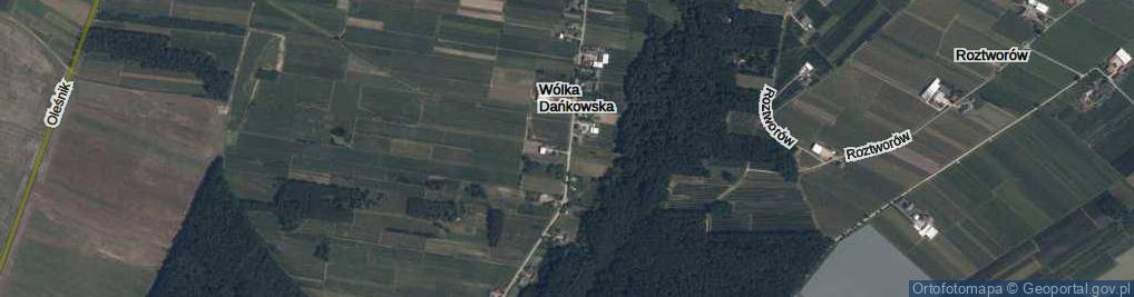 Zdjęcie satelitarne Wólka Dańkowska ul.